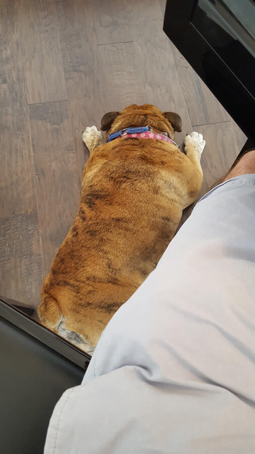 Potato Helping at the Grand Piano