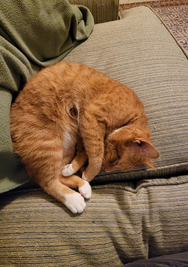 Tired Tired
